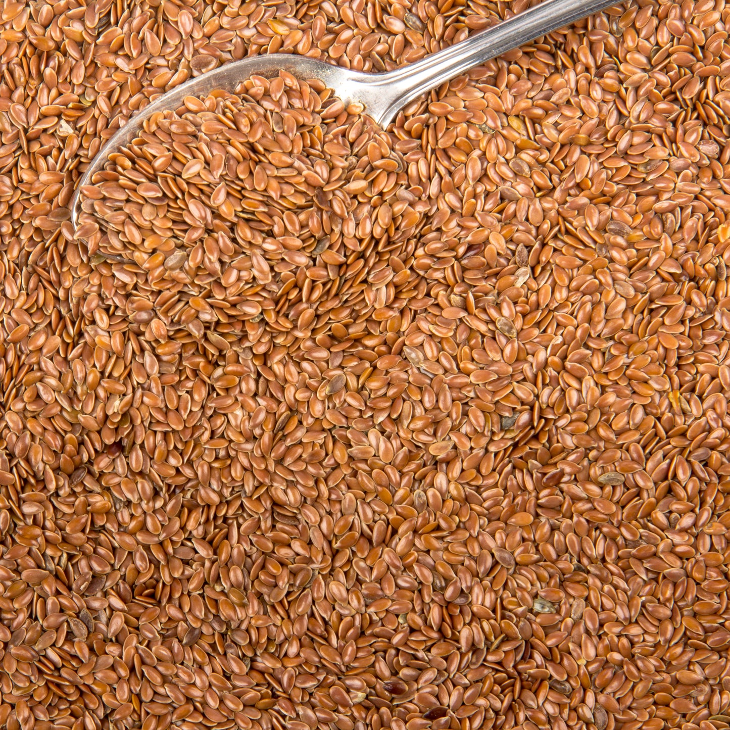Flax Seeds, Organic