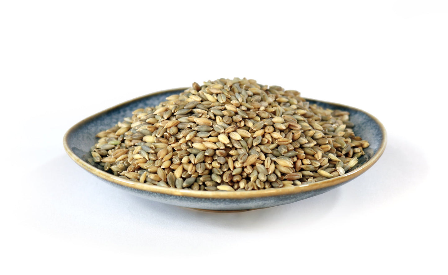 Streaker Barley, Hulless