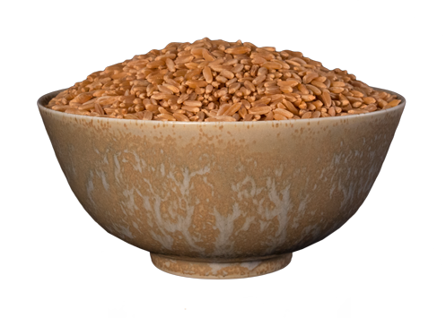 KAMUT®
