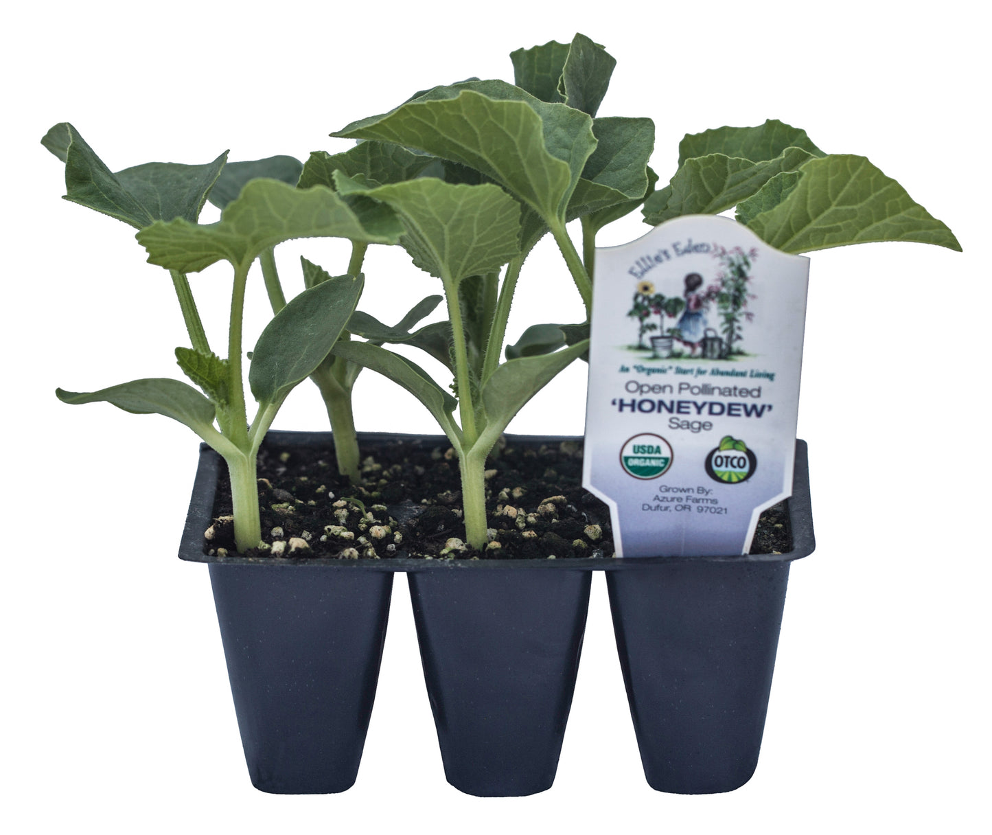 Honeydew, Organic