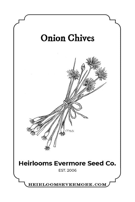 Onion Chives Seeds