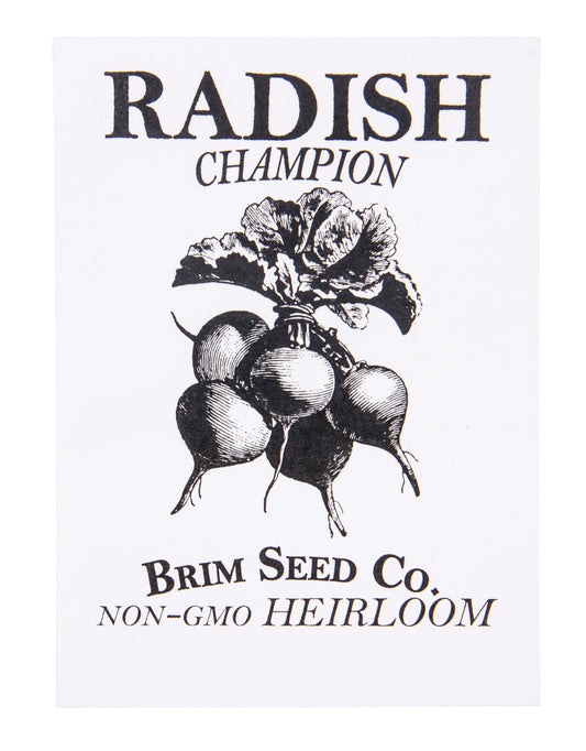 Radish, Champion Heirloom Seed