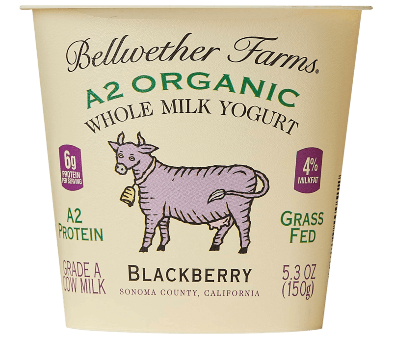 Yogurt, Whole Milk, Blackberry, A2 Organic