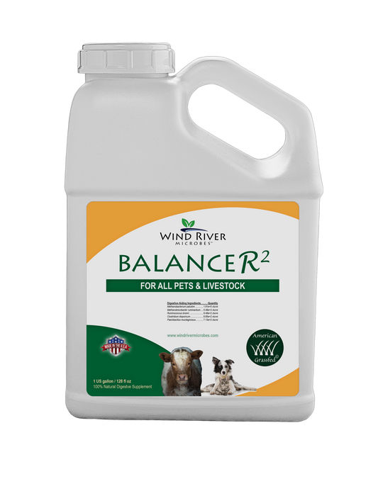 BalanceR2