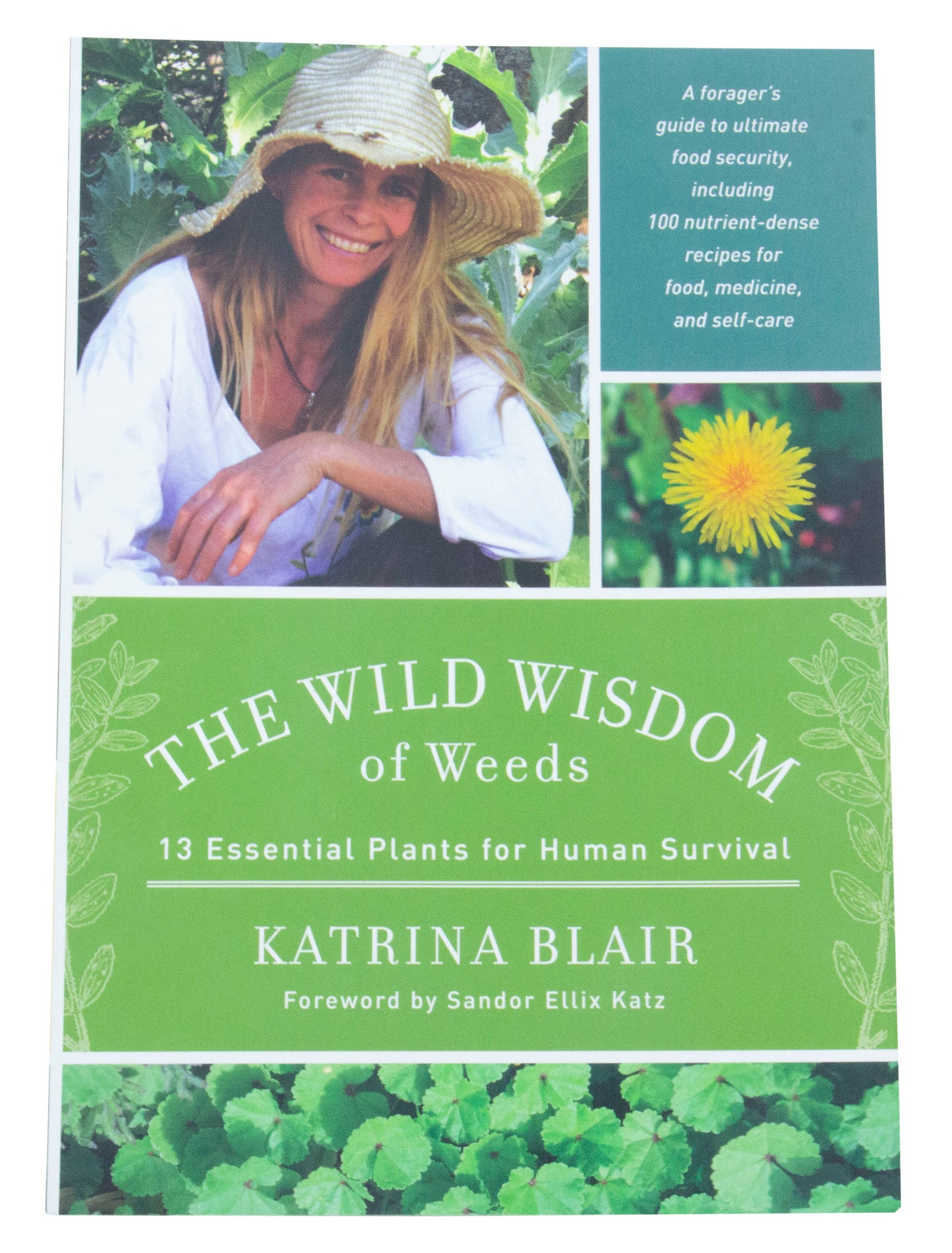 The Wild Wisdom of Weeds