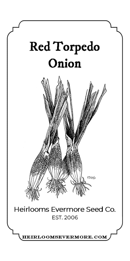 Torpedo Red Bottle Onion Seeds