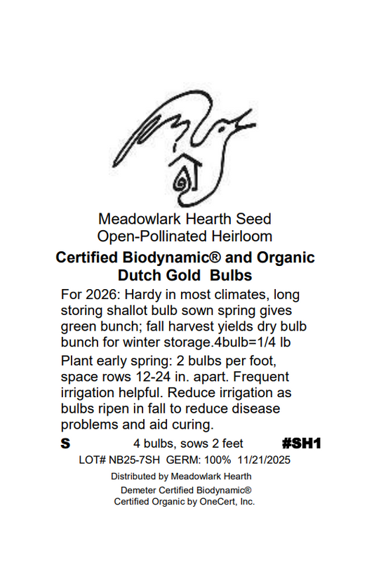 Shallot Bulbs, Dutch Gold, Organic