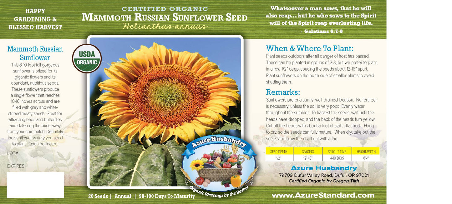 Mammoth Russian Sunflower Seed, Organic