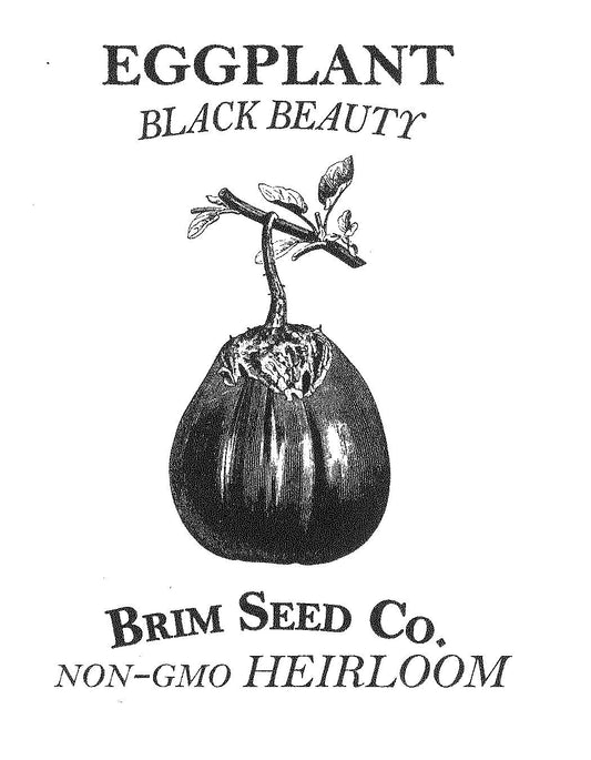 Eggplant, Black Beauty, Heirloom Seed