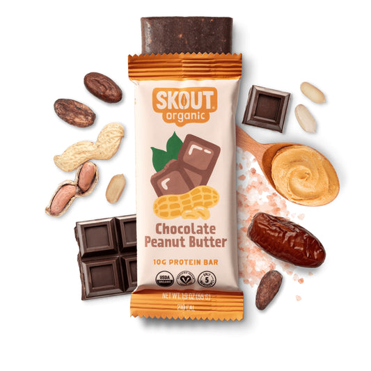 Protein Bar, Chocolate Peanut Butter, Organic