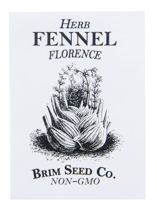 Herb, Florence Fennel Seed