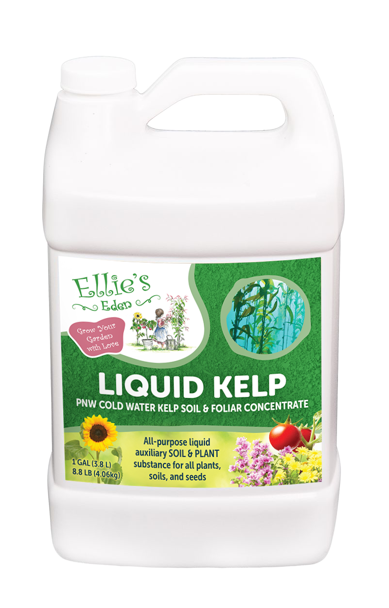 Liquid Kelp
