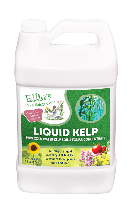 Liquid Kelp