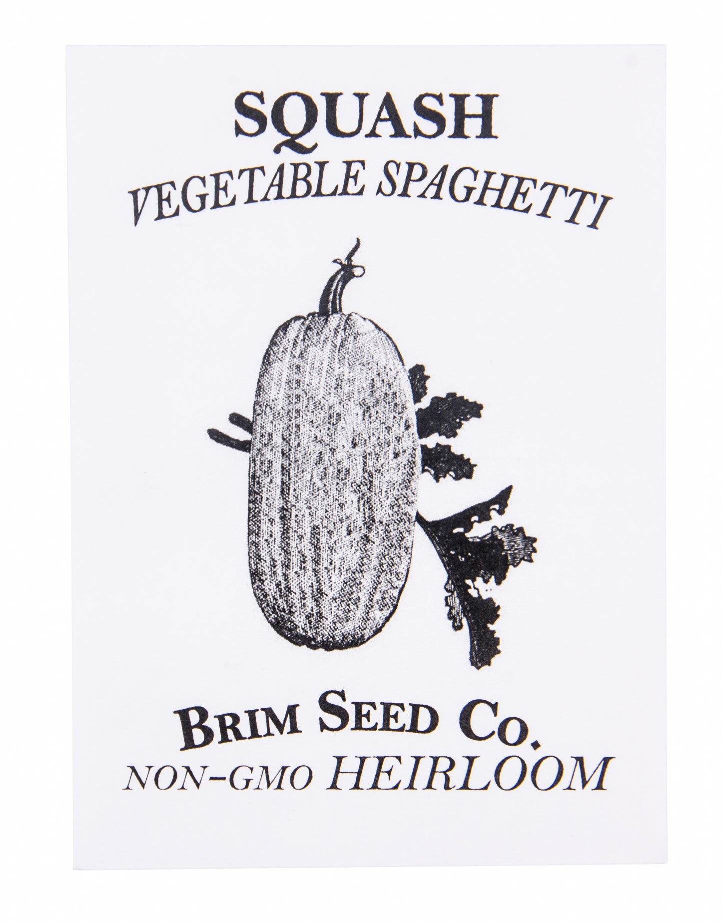 Squash, Vegetable Spaghetti Heirloom Seed