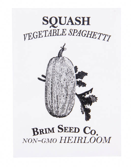 Squash, Vegetable Spaghetti Heirloom Seed