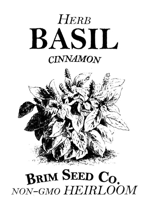 Herb, Basil, Cinnamon, Heirloom Seed