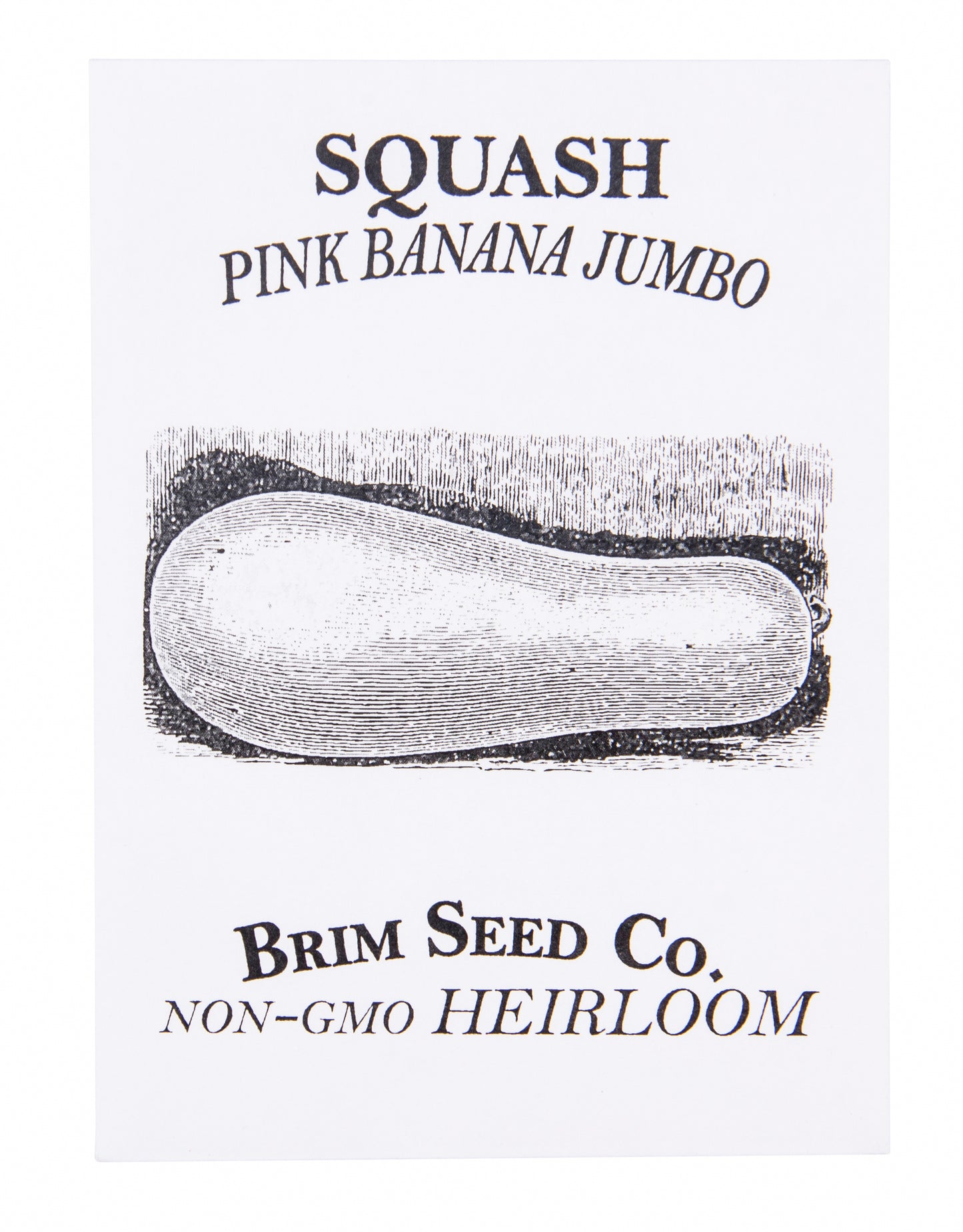 Squash, Pink Banana Jumbo Heirloom Seed
