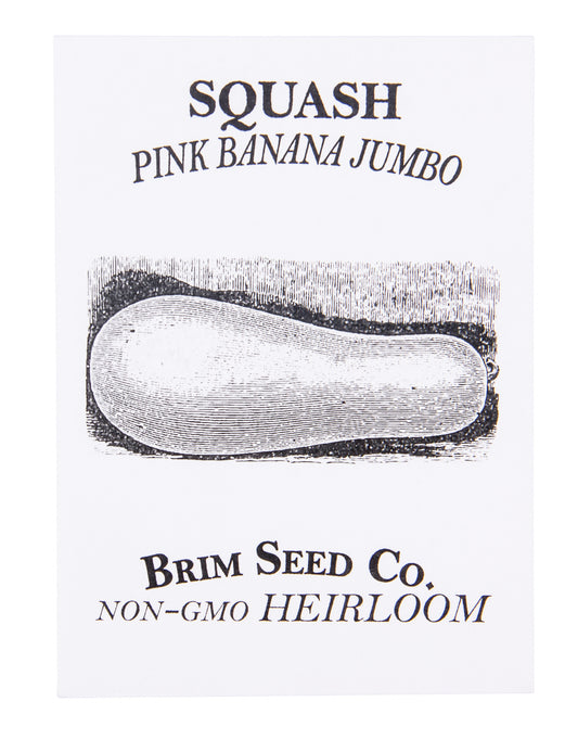 Squash, Pink Banana Jumbo Heirloom Seed