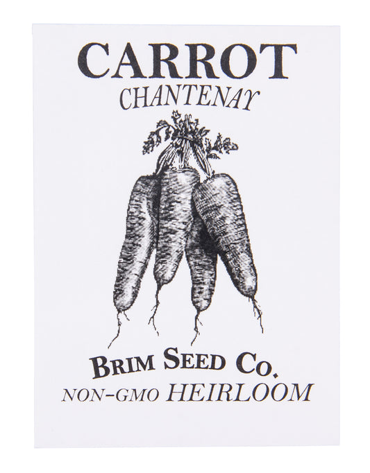 Carrot, Chantenay Heirloom Seed