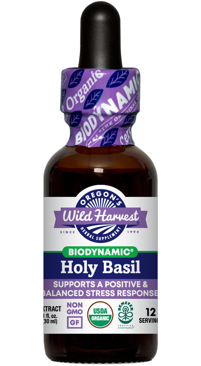Holy Basil, Biodynamic