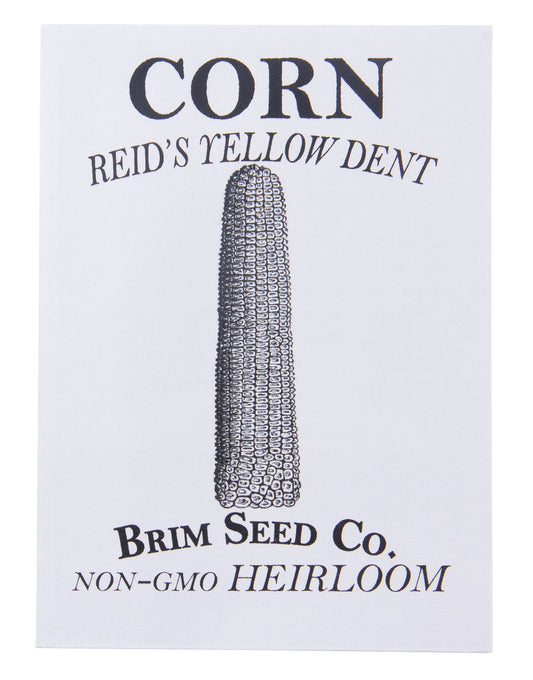 Corn, Reid's Yellow Dent Heirloom Seed