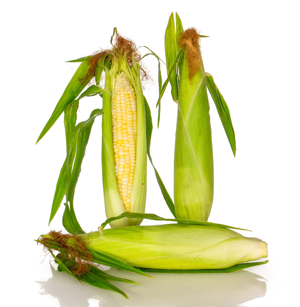 Corn, Organic