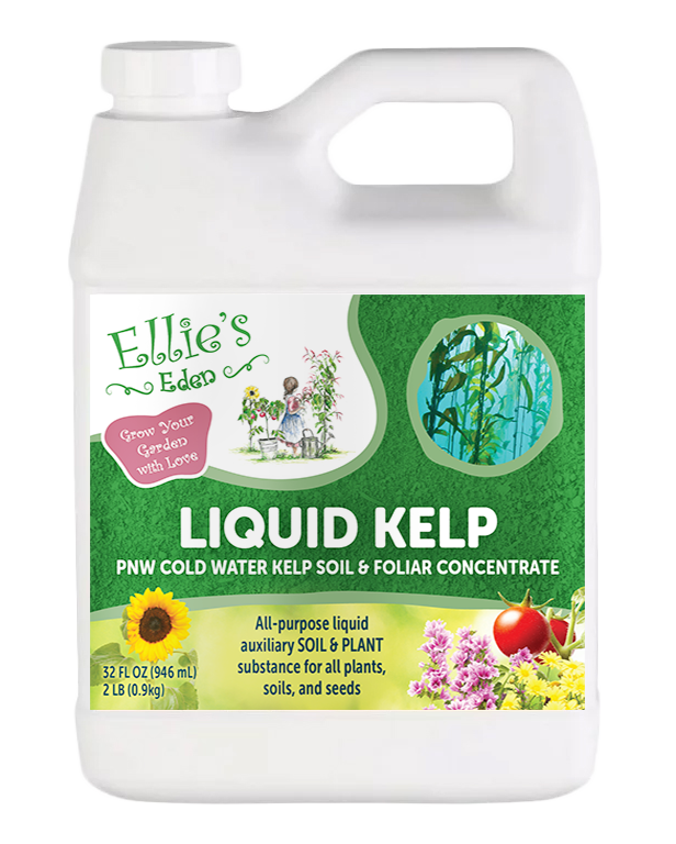 Liquid Kelp