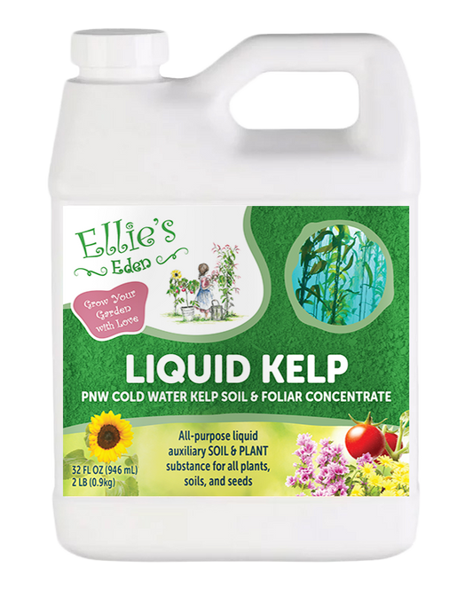 Liquid Kelp