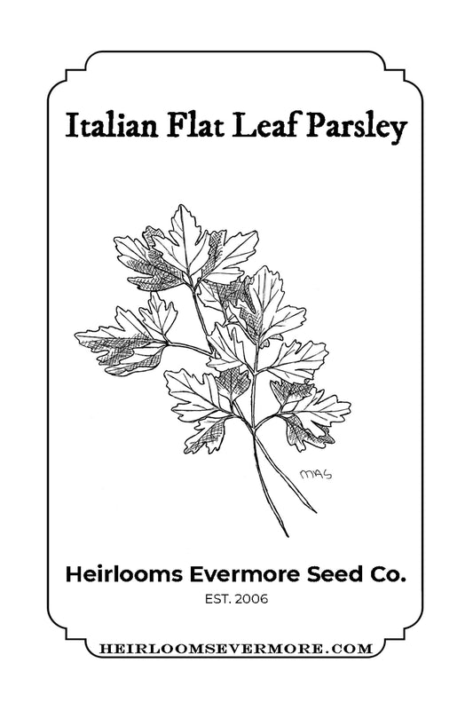 Italian Flat Leaf Parsley Seeds