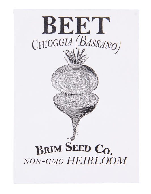 Beet, Chioggia Bassano Heirloom Seed