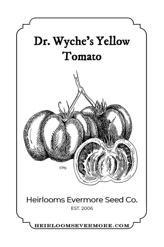 Dr. Wyche's Yellow Tomato Seeds