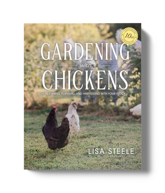 Gardening with Chickens