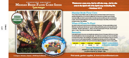 Mandan Bride Flour Corn Seed, Organic