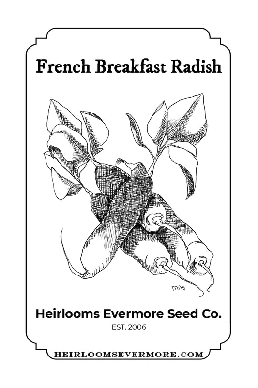 French Breakfast Radish Seeds