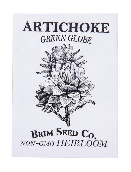 Artichoke, Green Globe Heirloom Seed