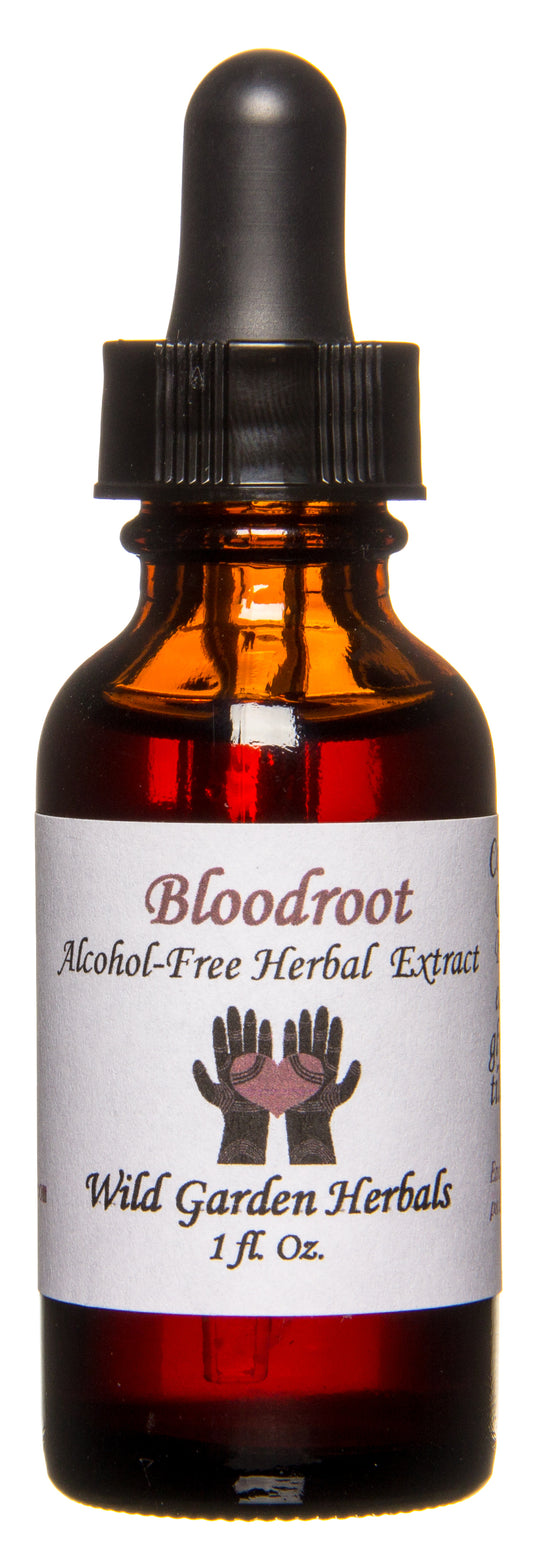 Bloodroot
