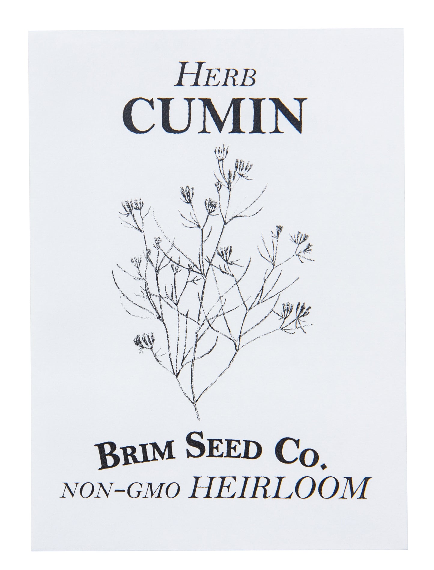 Herb, Cumin Heirloom Seed