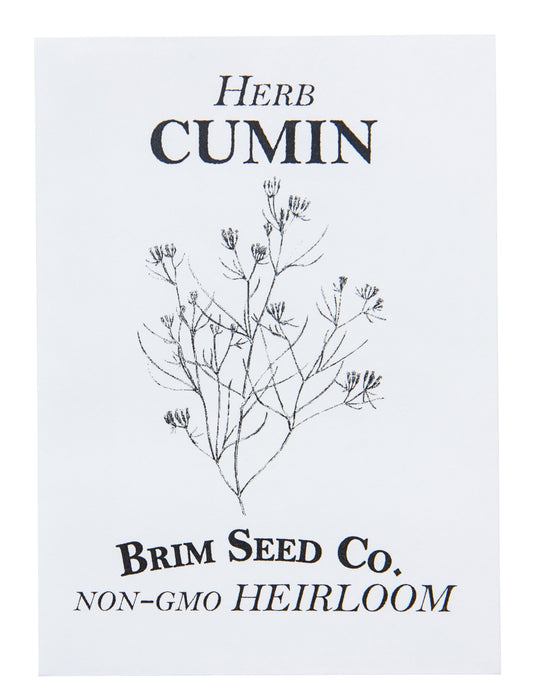 Herb, Cumin Heirloom Seed