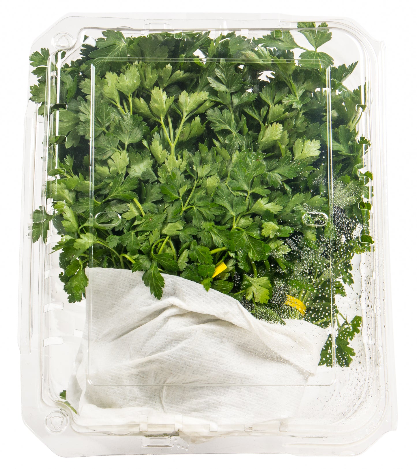 Fresh Herbs, Italian Parsley, Organic