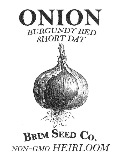Onion, Burgundy, Heirloom Seed