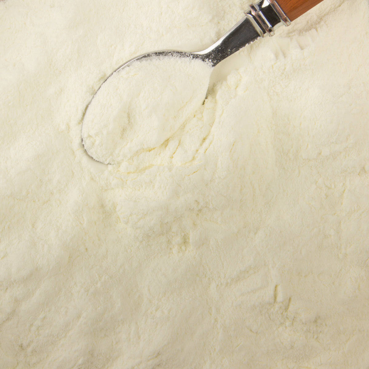 Milk Powder, Non-Instant, Non-Fat, Organic
