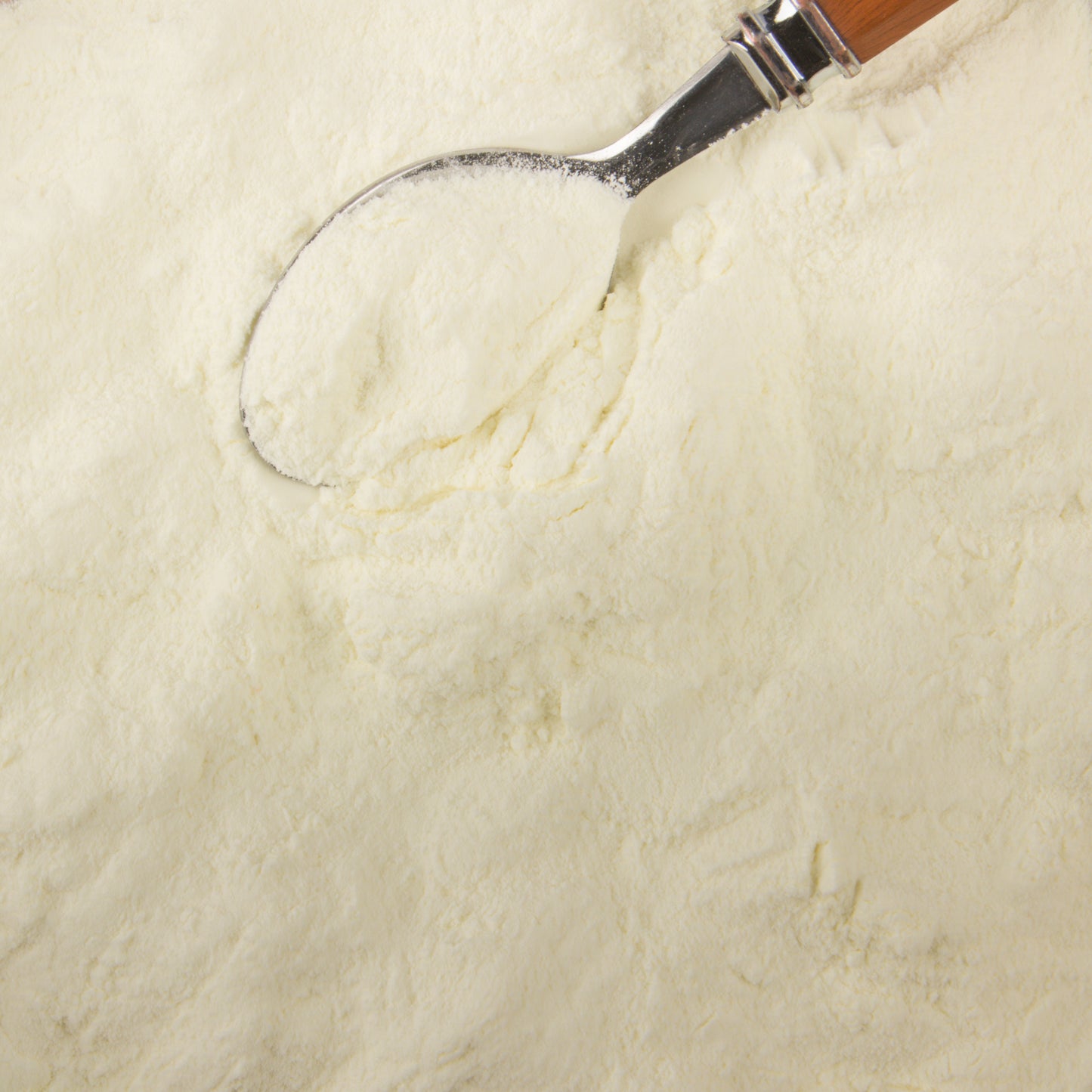 Milk Powder, Non-Instant, Non-Fat, Organic