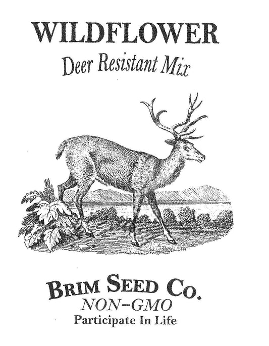 Flower, Wildflower, Deer Resistant Mix