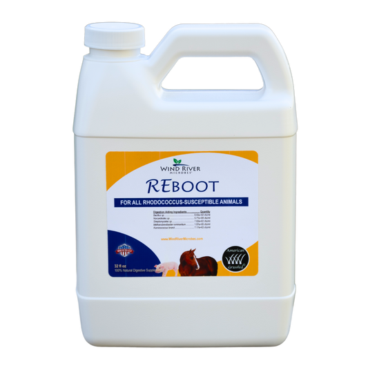 Reboot