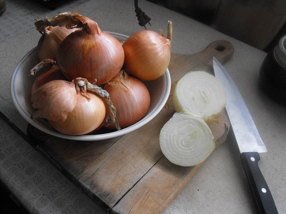 Onion Seed, Valencia, Organic