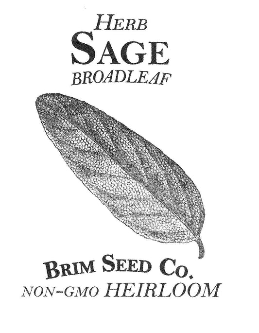 Herb,Sage, Heirloom Seed