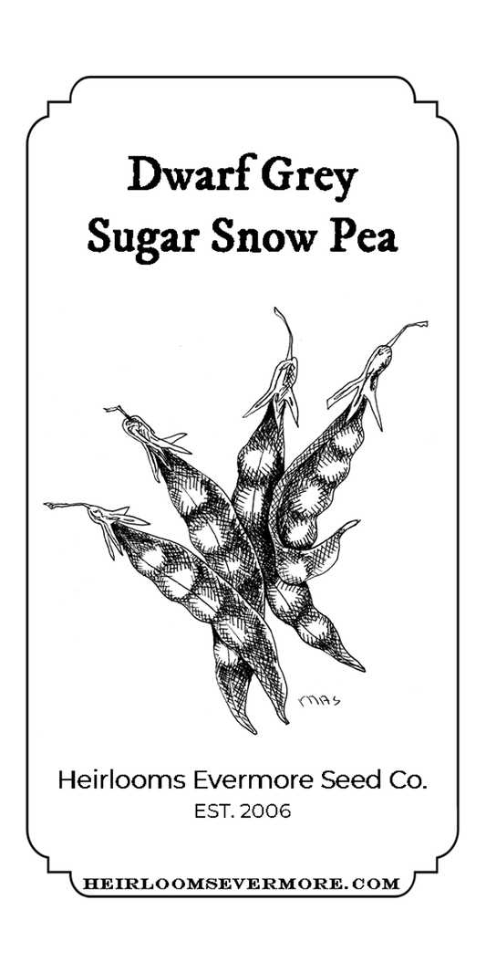 Dwarf Grey Sugar Pea Seeds
