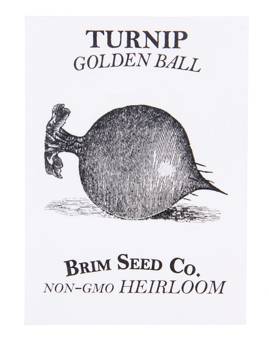 Turnip, Golden Ball Heirloom Seed