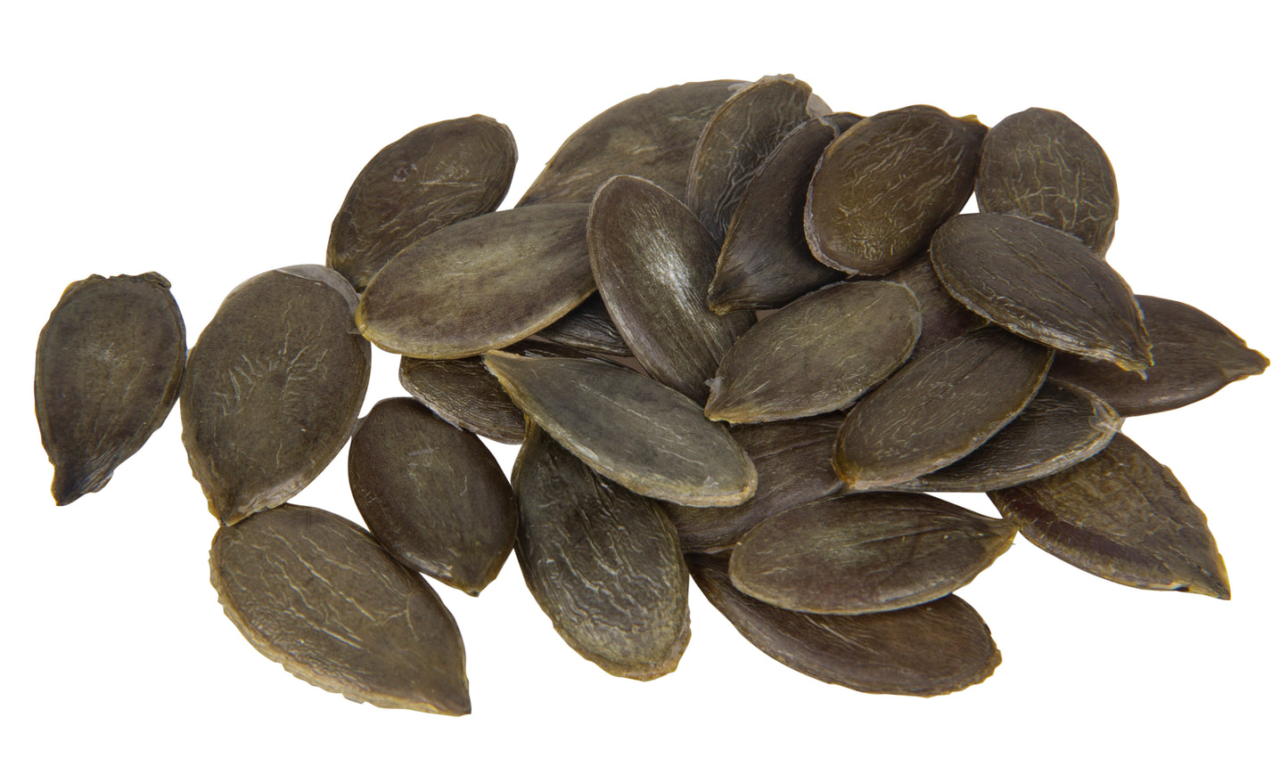 Styrian Pumpkin (Hulless Seeded) Seed, Organic