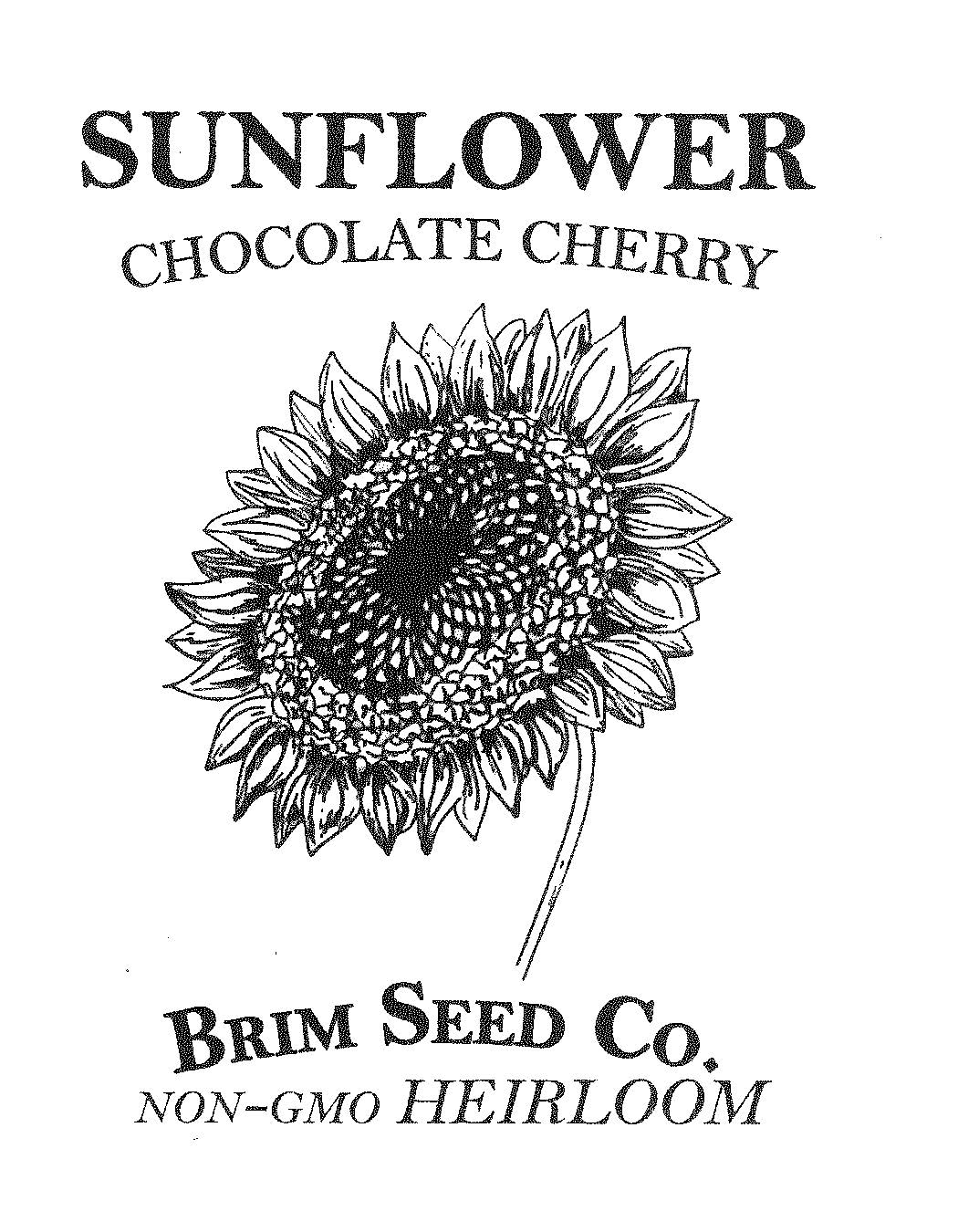 Flower, Sunflower, Chocolate Cherry, Heirloom Seed